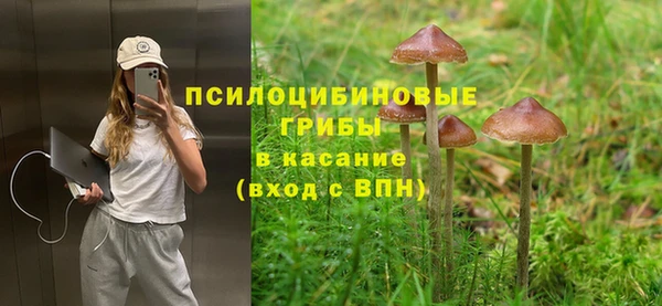 mix Армянск