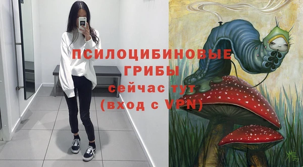 mix Арсеньев