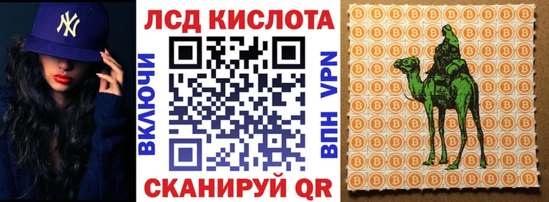 kraken   Староминская  Марки N-bome 1,8мг 